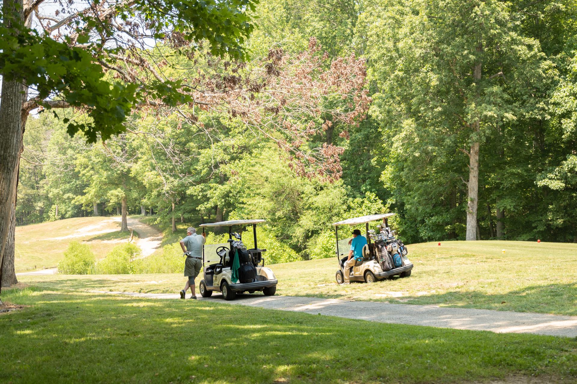 wpgc golfers