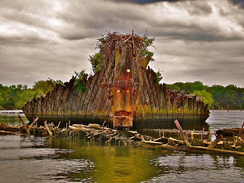 Mallows Bay Wreck