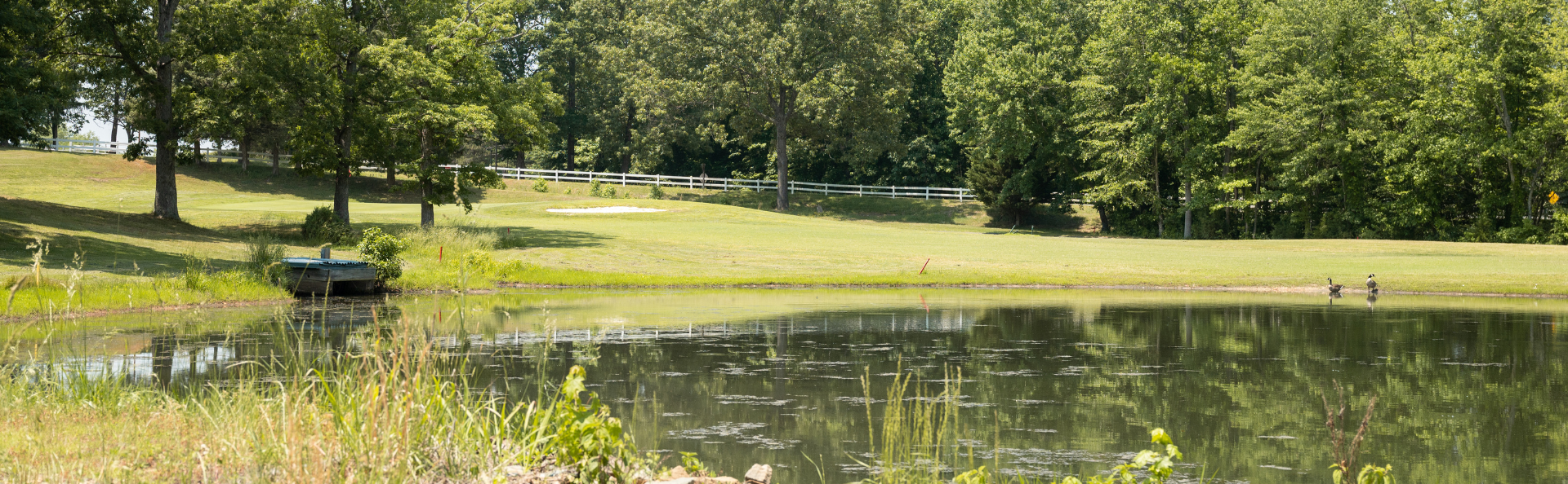 White Plains Regional Park Survey